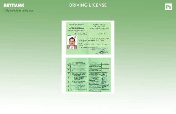 Модерен стил Габон dl шаблон